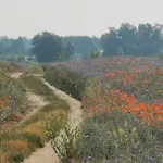 Maisonette In Historic Vakantiehuis