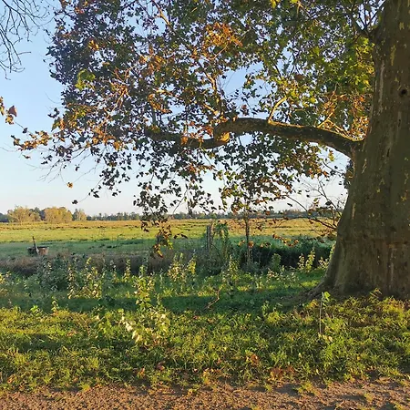 Maisonette In Historic * Paretz