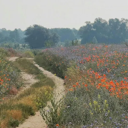 Maisonette In Historic Semesterbostad