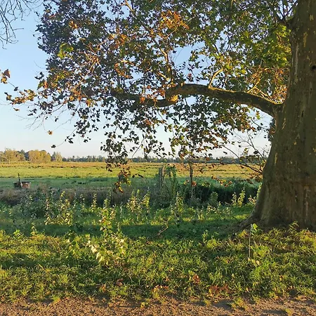 Maisonette In Historic *