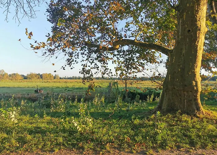 Maisonette In Historic *